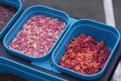 Drennan DMS 1 Pint Modular Bait Seal Box -Vissen Winkel 1606427866