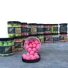 Scopex Cream Belachan Pop-ups -Vissen Winkel grainbaits scopex cream belachan pop ups